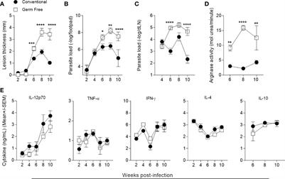 Resistance Against Leishmania major Infection Depends on Microbiota-Guided Macrophage Activation